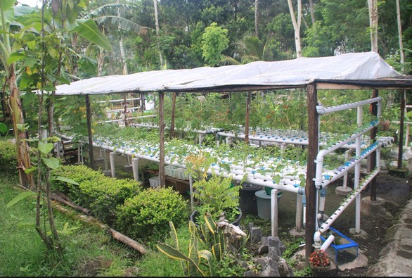 Membuat Desain Taman Hidroponik di Halaman Rumah