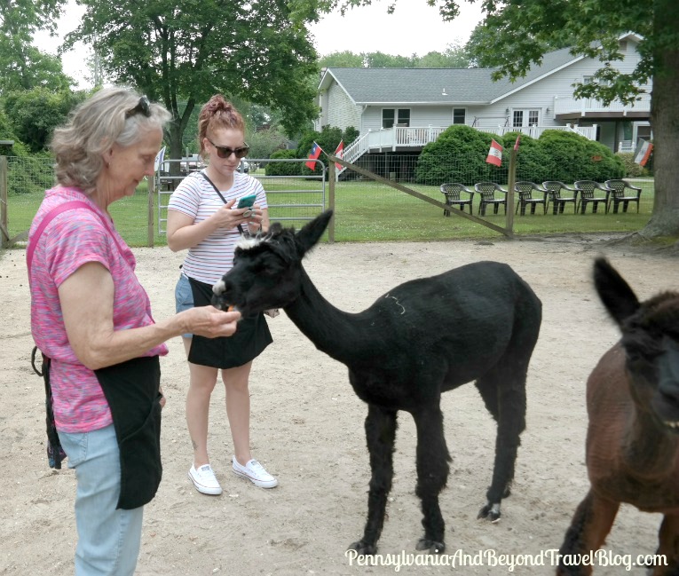 Pennsylvania & Beyond Travel Blog Family Fun at the Jersey Shore