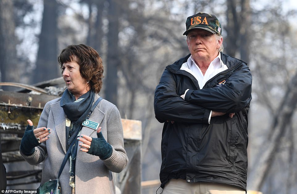 Pack Of Winter Crazed Madisonians Seek >> Bob S Blog Total Devastation Telling It Like It Is Pack Of Winter Crazed Madisonians Seek >> Bob S Blog Total Devastation Telling It Like It Is