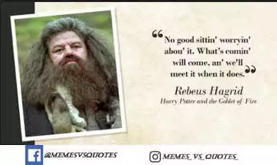Soundest Harry Potter Quotes That Potterheads Have To Know Harry Potter Quotes