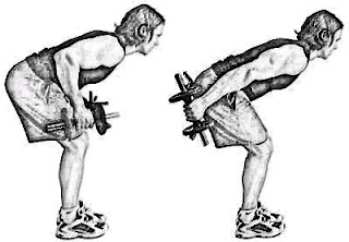 Full-Body-Dumbell-Workout-Plan