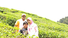 Cameron Highland 2012