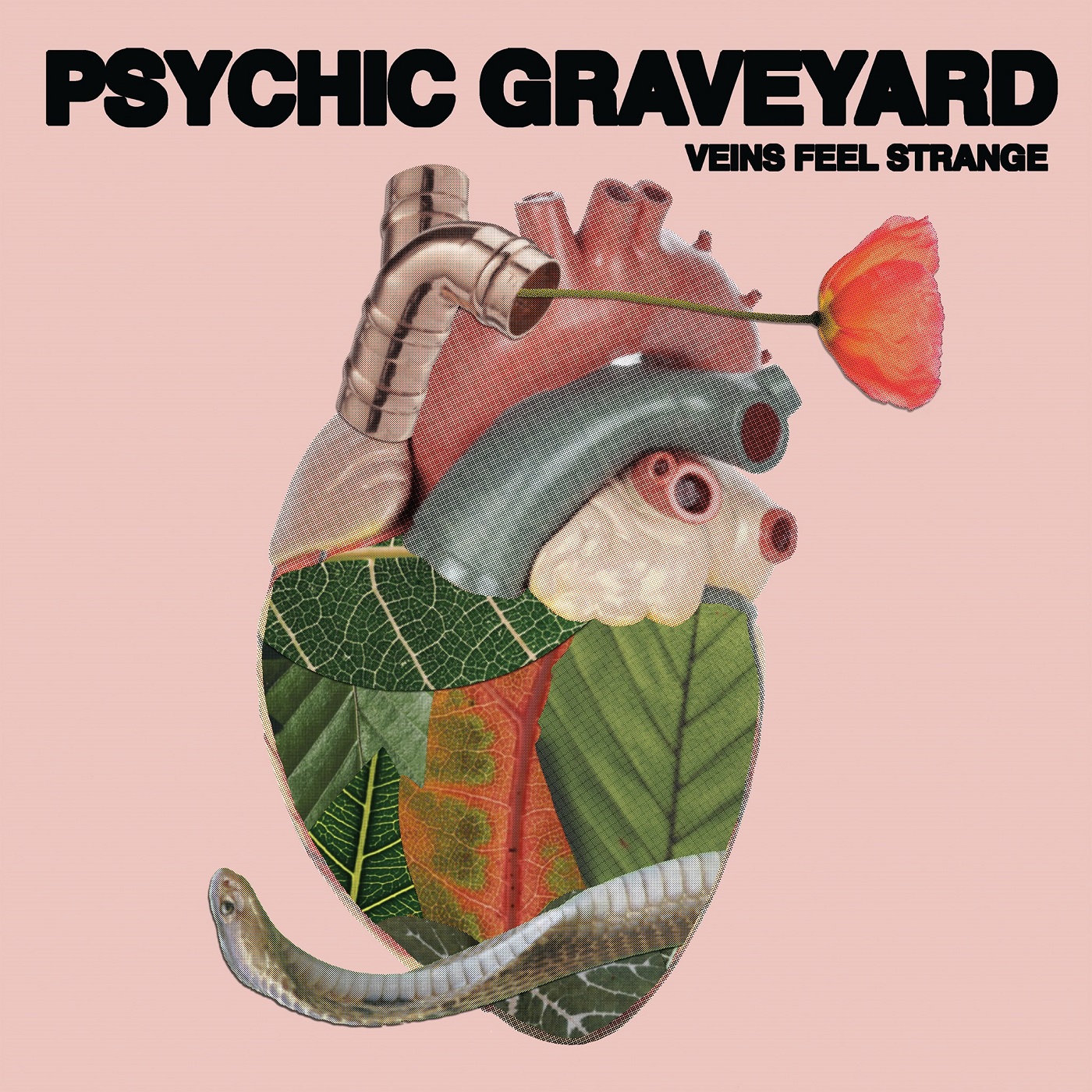 Dawn bizarre. Strangest feeling. Jerome 99 - stranger feelings. Feeling randy. бетти салам.