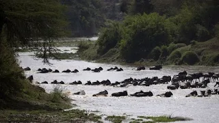 Tanzania kupinga mipango ya Kenya kujenga mabwawa ya kuzalisha umeme na umwagiliaji Mto Mara