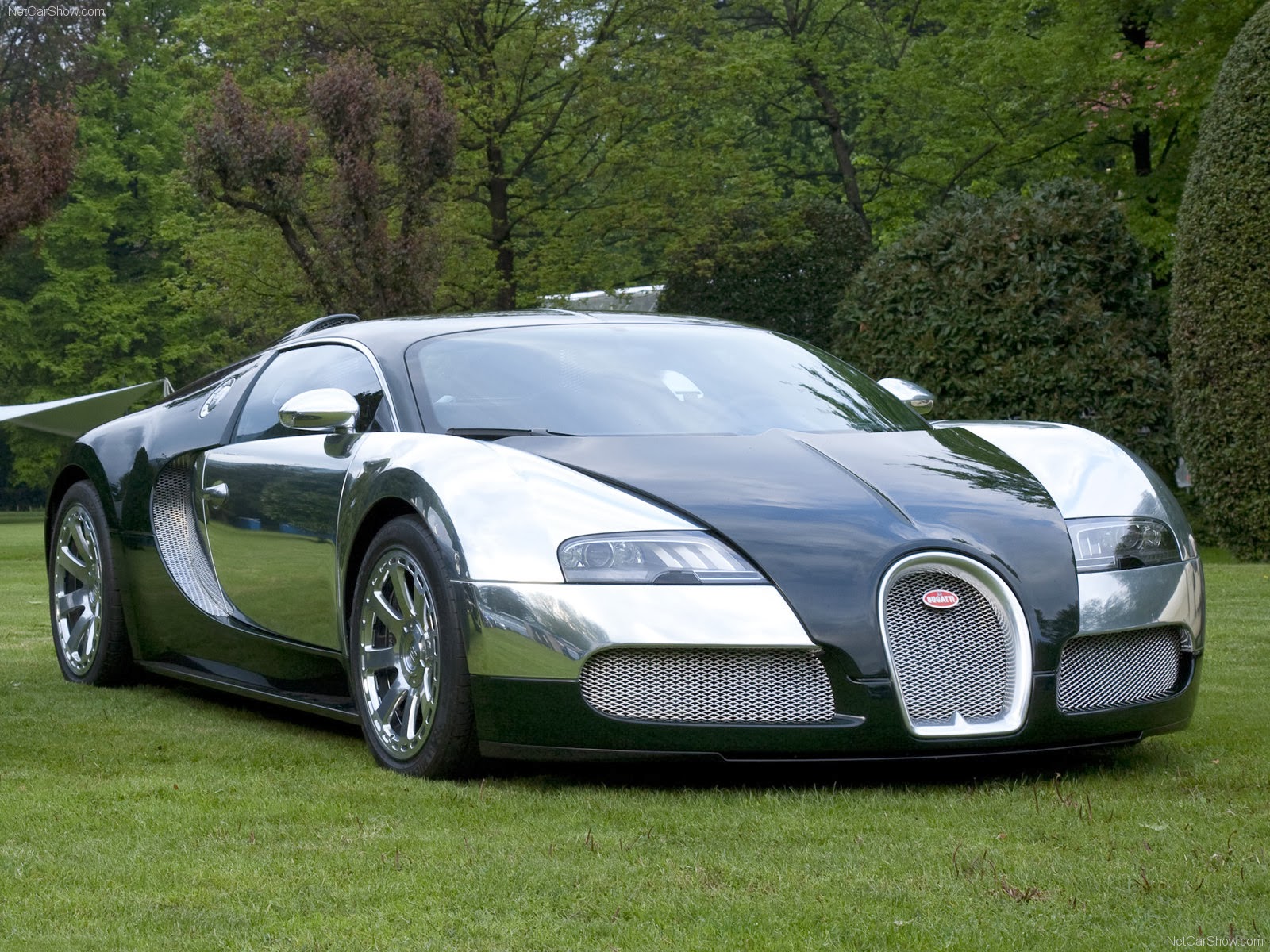 HD Cars Wallpapers: Bugatti Veyron HD Wallpapers
