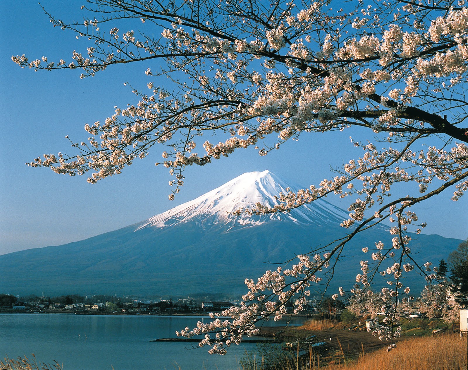 Gambar Foto Gratis Gunung Fuji Jepang Pegunungan Gambar Tengara
