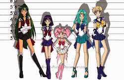 sailor outer scouts futur echo