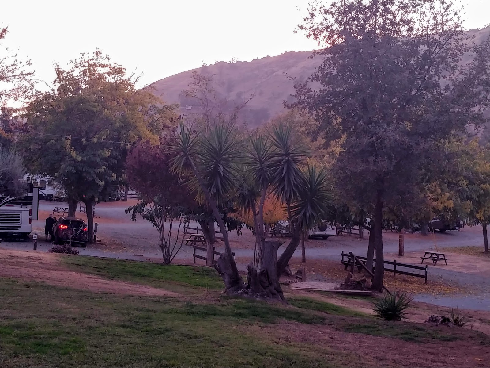 Peter And Evie Travel blog Nov 11 Traveling east to Lemon Cove