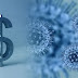 كورونا تحذر من ارتفاع أسعار السيارات كورونا تحذر من ارتفاع أسعار السيارات