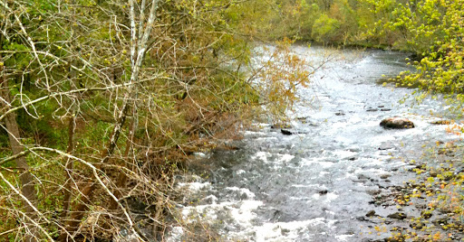 Naugatuck State Forest West Block Northern Section (Naugatuck, CT)  Photo: Morrow Long