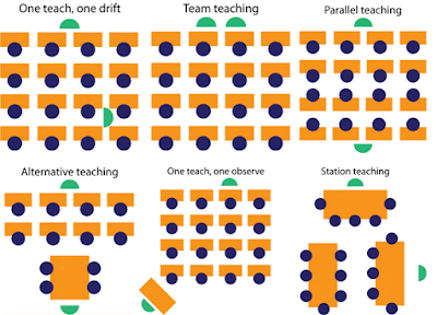 Jenis model Pair Teaching / Co Teaching