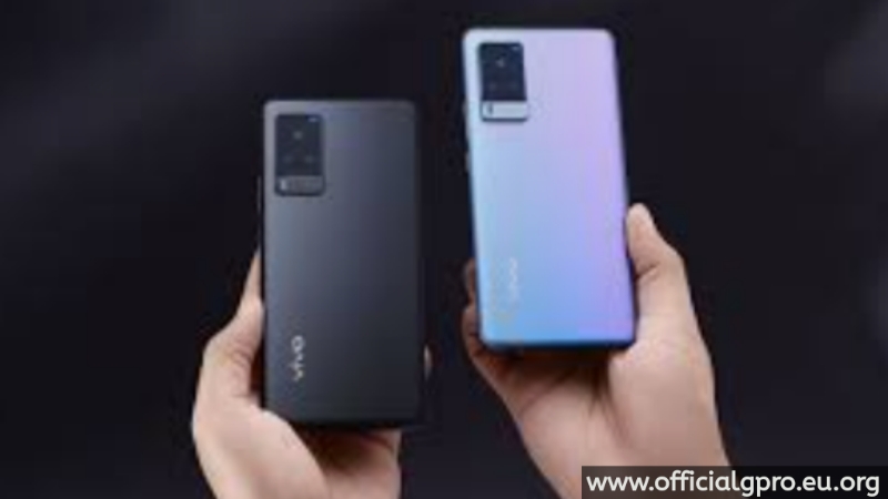 VIVO VIVO