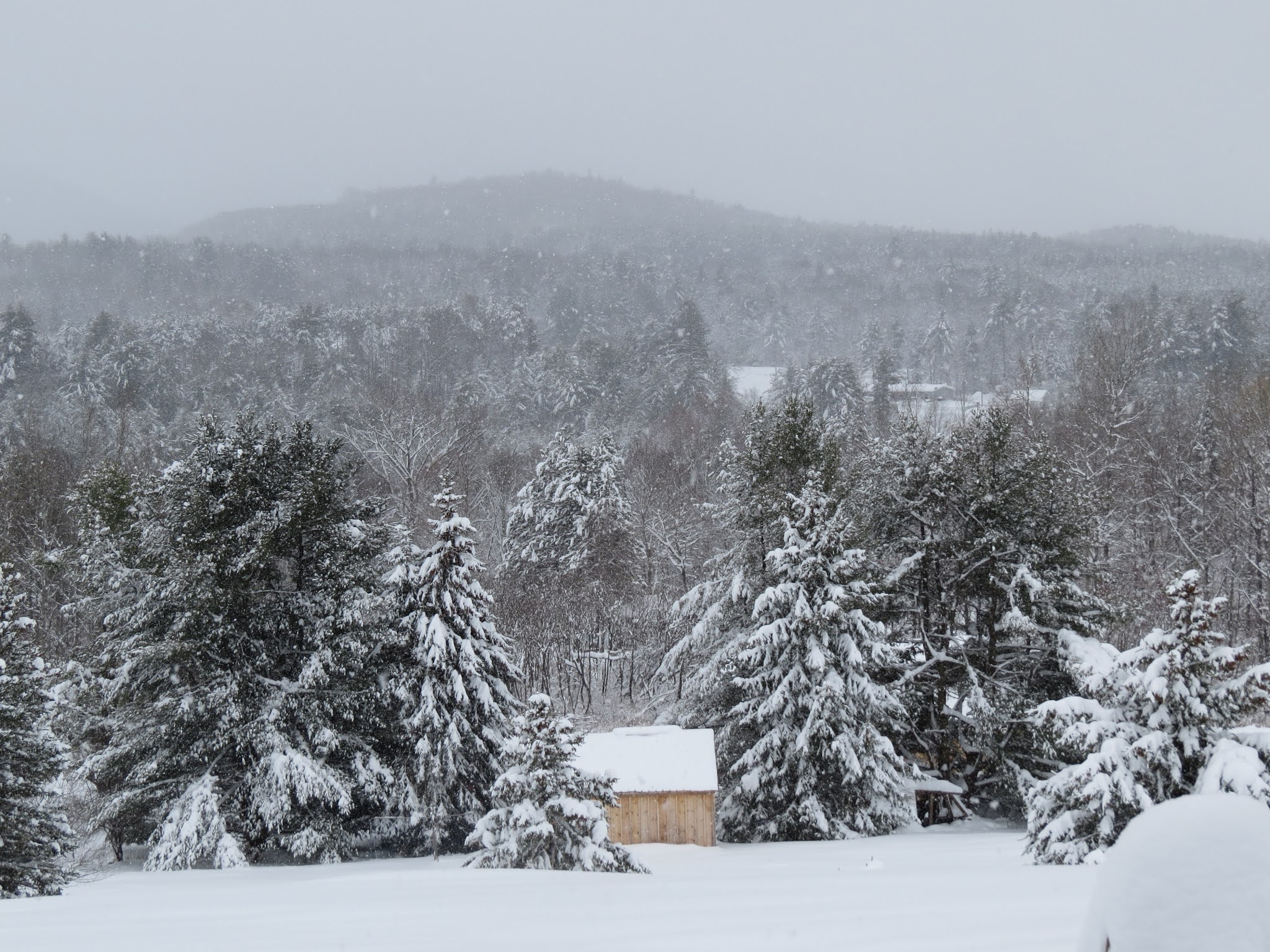 Jericho, Vermont Photos Interpreting Jericho, Vermont Winter Skies