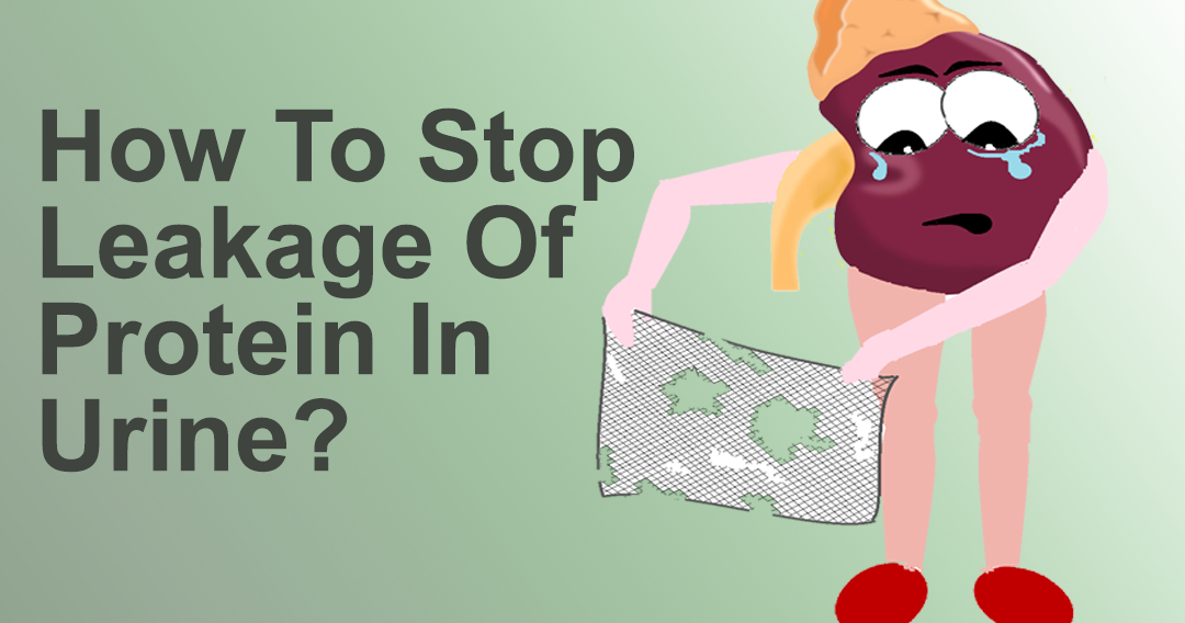 How To Stop Leakage Of Protein In Urine?Ayurvedic Remedies for Kidney Problems