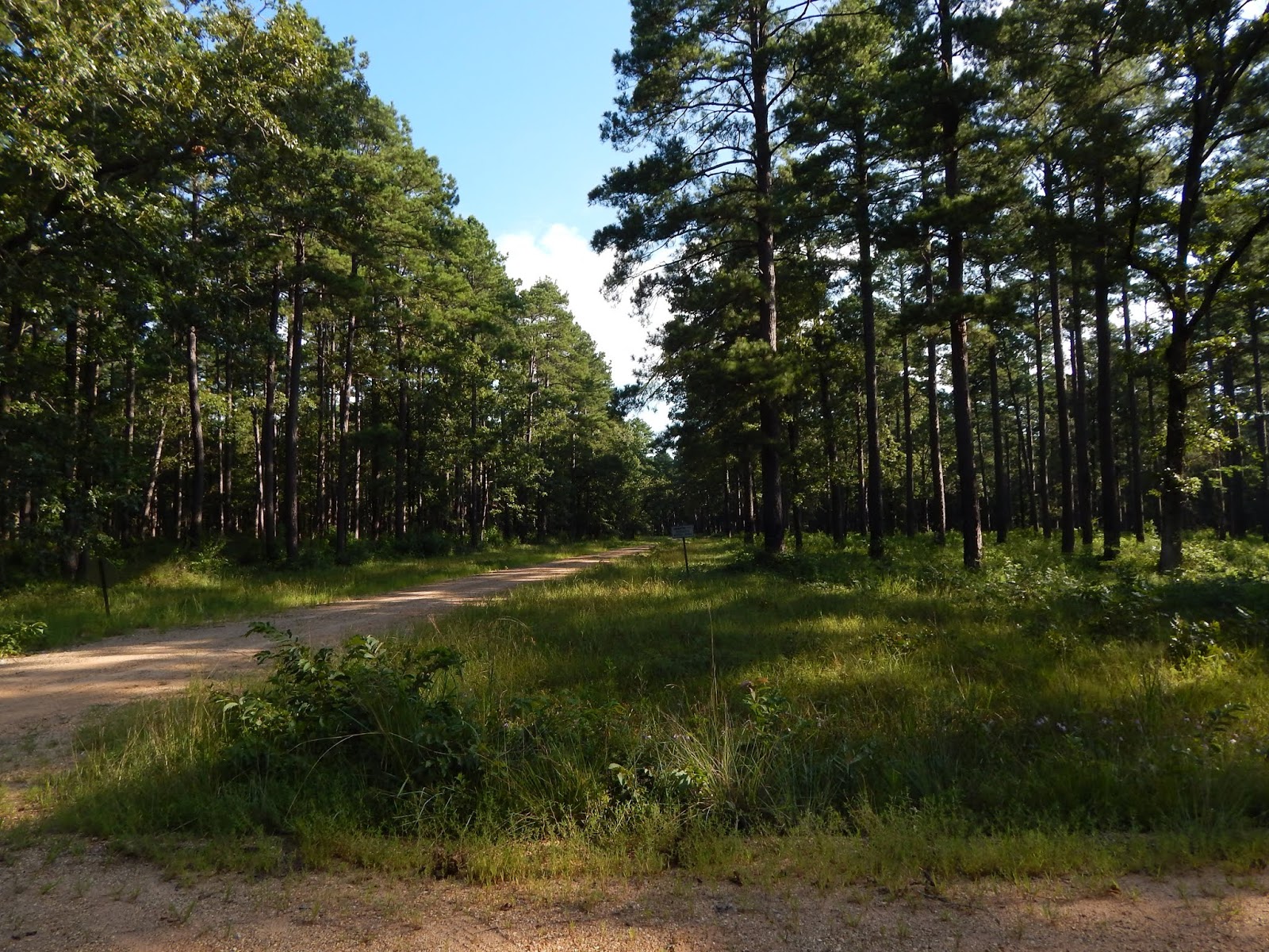 Central Louisiana Birding & Wildlife National Catahoula Wildlife
