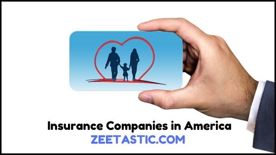 Top Best Life Insurance Companies in America | ZeeTastic