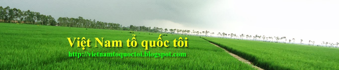 Việt Nam tổ quốc tôi