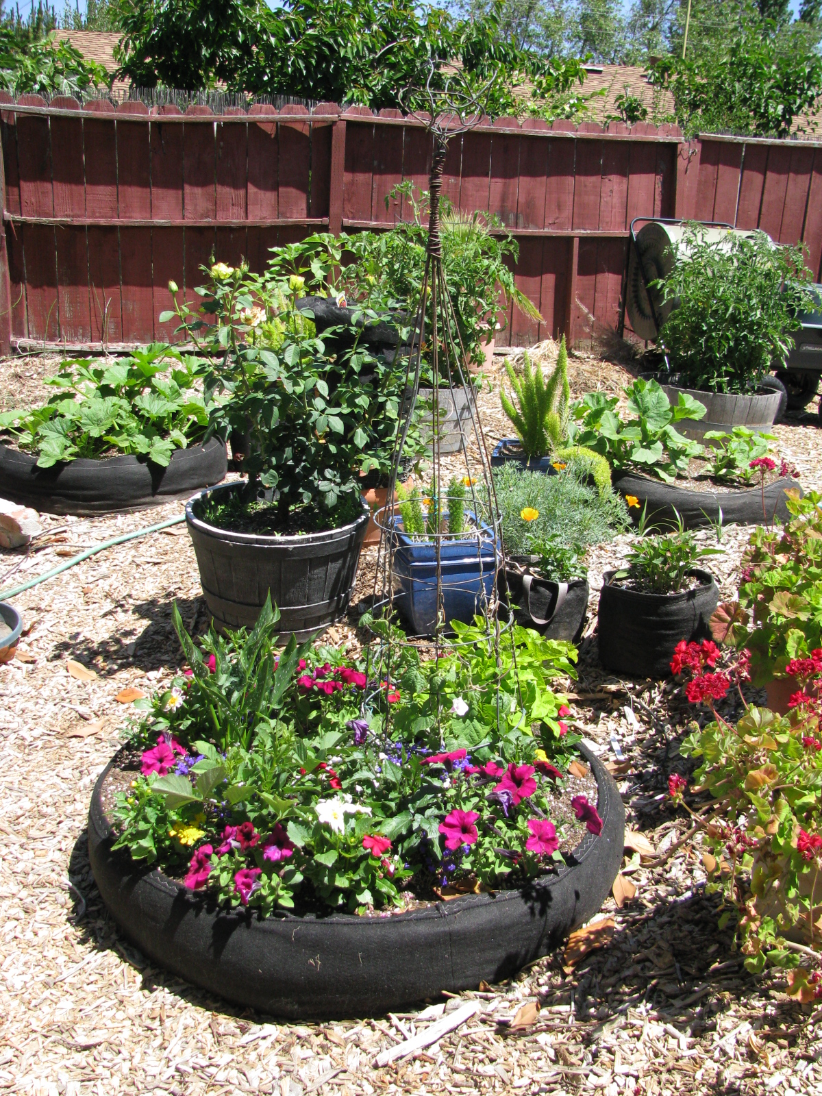 Landscape Redo Garden with raised beds and fabric pots