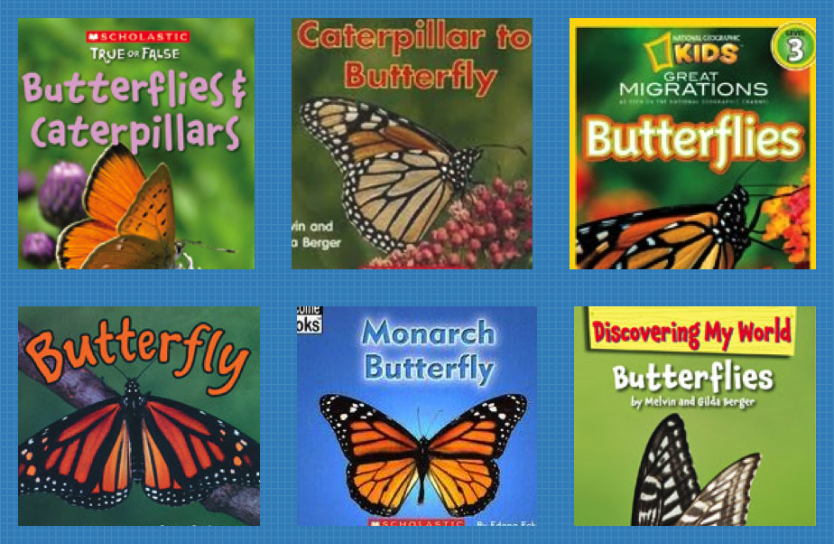 Caterpillars and Butterflies Oh My! Time 4 Kindergarten