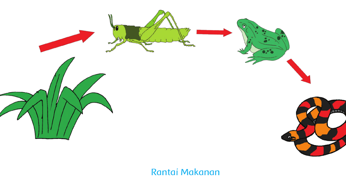 Konsumen yang memakan tumbuhan untuk bertahan hidup dinamakan