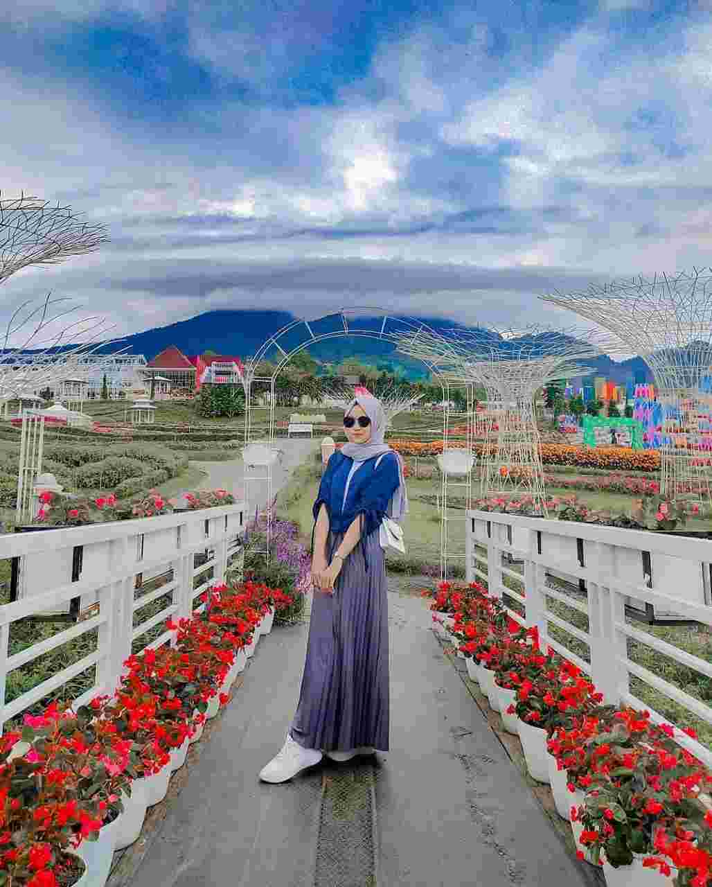 Taman Bunga Celosia Bandungan