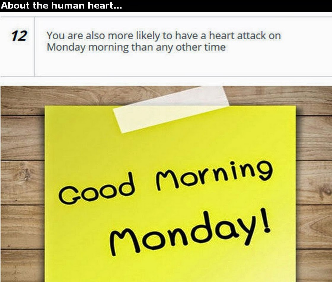 Chuck's Fun Page 2 Human Heart trivia 25 images