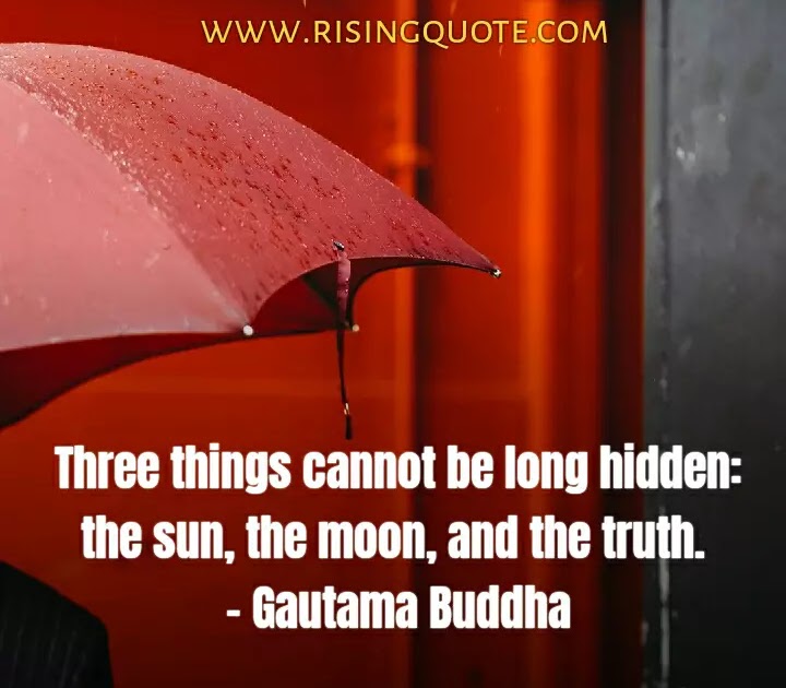 100 Best Wise Quotes Short Wise Sayings (2021)