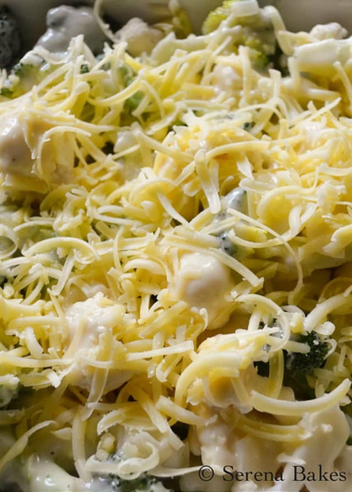 Cheese covering broccoli covered in au gratin sauce for Cheesy Broccoli Casserole.