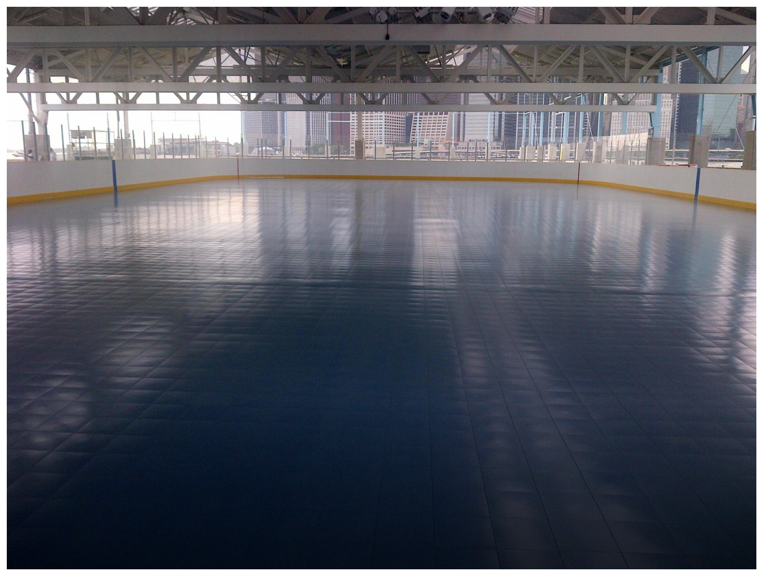 Brooklyn Born A Rink Rolls in Brooklyn! BklynBridgePark RollerRink