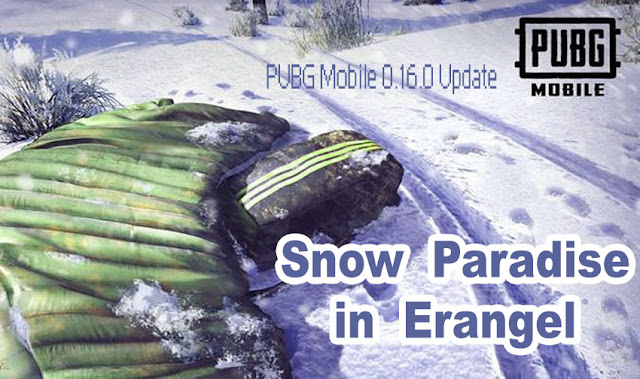 Snow Paradise in Erangel
