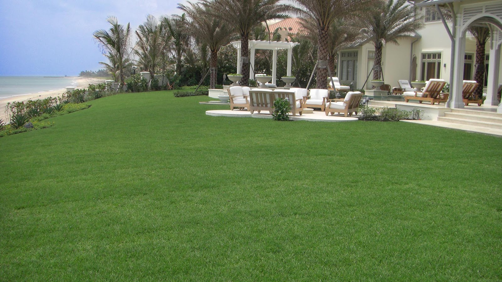Hire Best Artificial Turf Grass Company Near Me