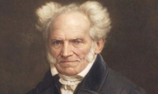 Schopenhauer e o mundo como representação