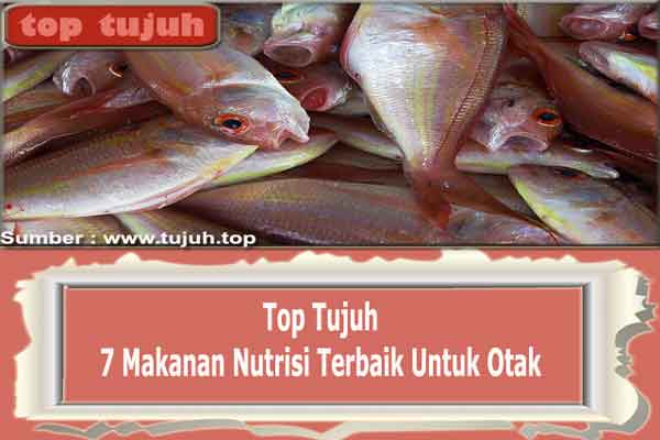 Top 7 Makanan Nutrisi Terbaik Untuk Otak Top 7 Makanan Nutrisi Terbaik Untuk Otak