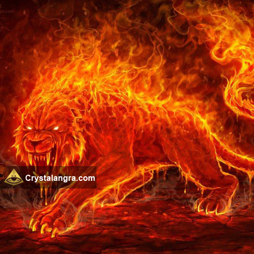 Macan Api (Fungsi & Perawatan) ~ Crystalangra