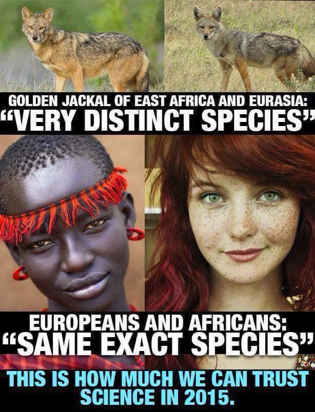 The Foremost Problem 25 Myths about Race Myth 1 Race Is a 