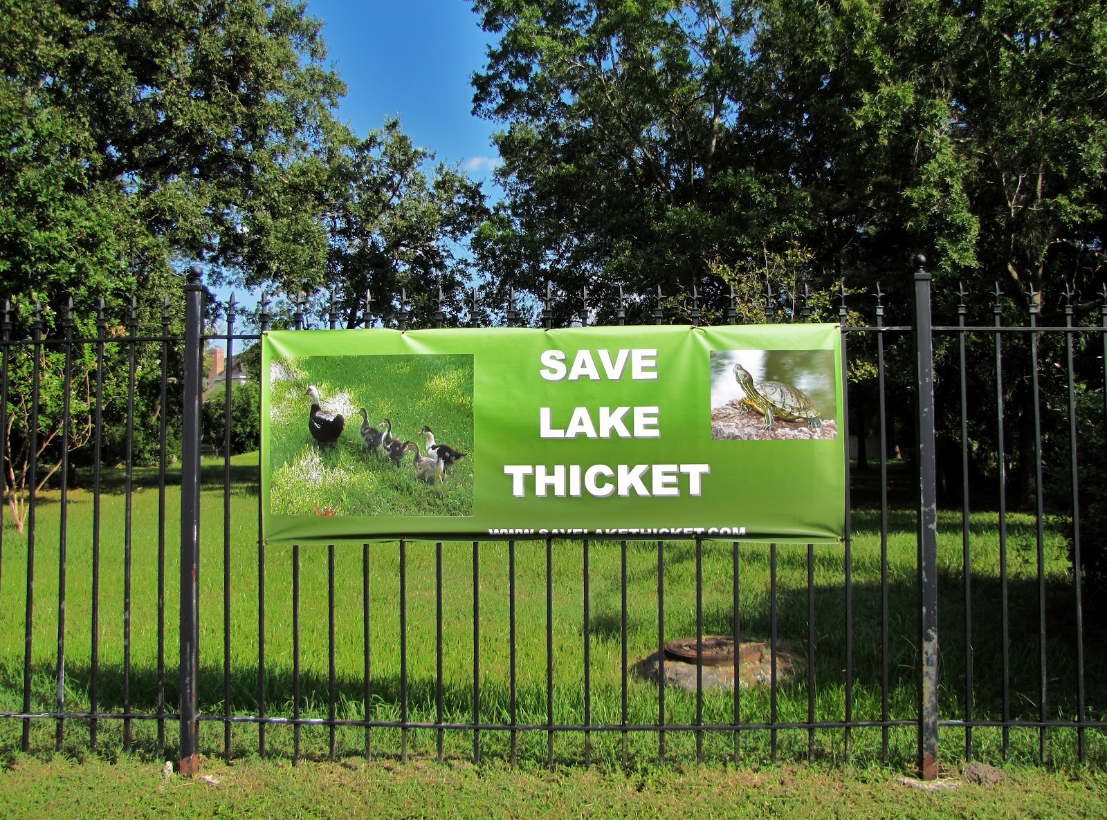 HTownWest Photo Blog Don't mess with the lake in my neighborhood