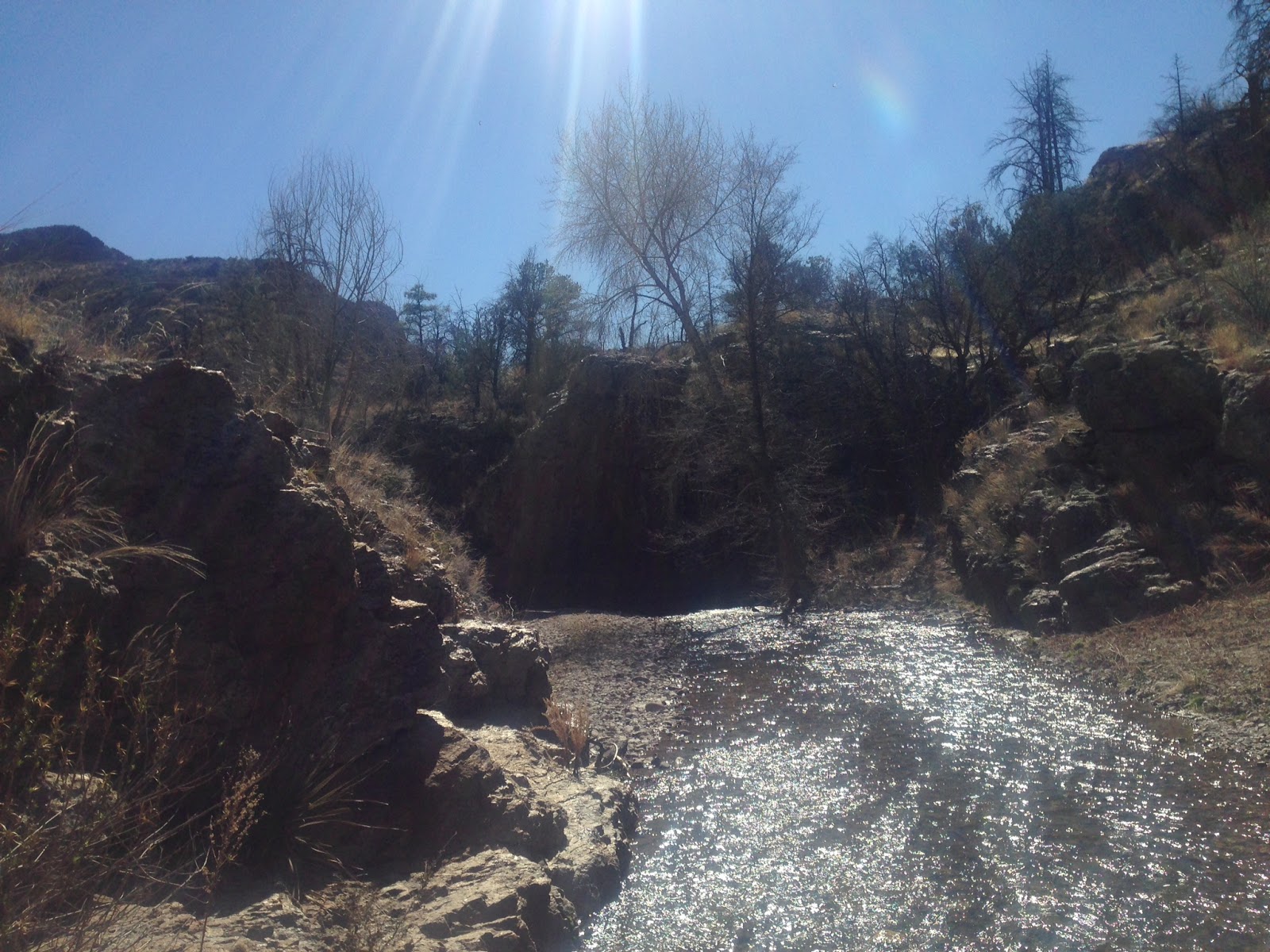 Southern New Mexico Explorer West Curtis Canyon Aldo Leopold Wilderness