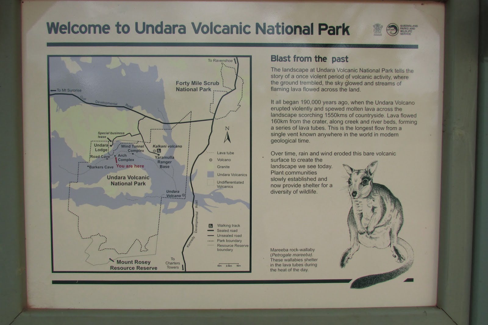 Scheffer Family's Great Aussie Adventure - 2013: 14 May 2013 – Undara ...