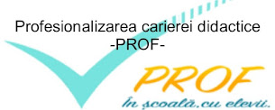 Profesionalizarea carierei didactice - PROF