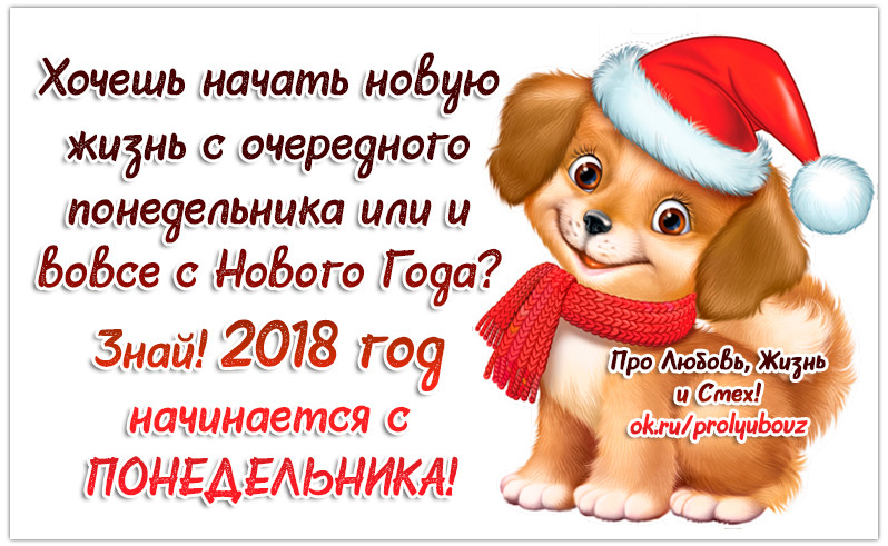 Новая жизнь с нового года. Зимние афоризмы. Новая жизнь с нового года. Новый год начало новой жизни. Новый год жизнь с чистого листа.