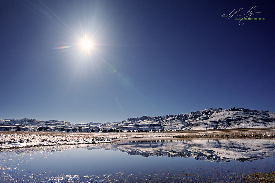 Photo Writing Exploring Photography. How To Photograph Into The Sun