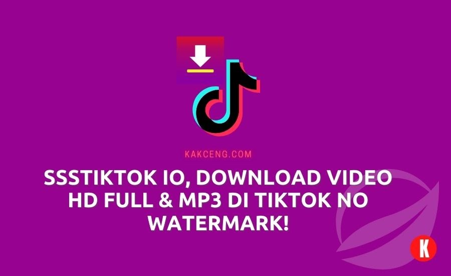 ssstiktok apk