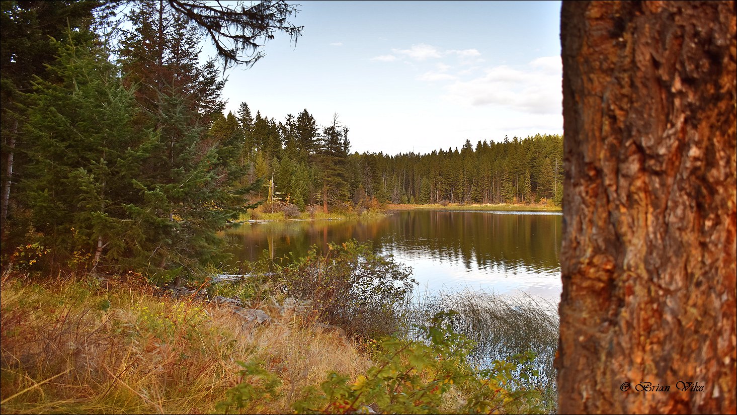 Photos From Around Kamloops & Area British Columbia Canada. (Over 3,314