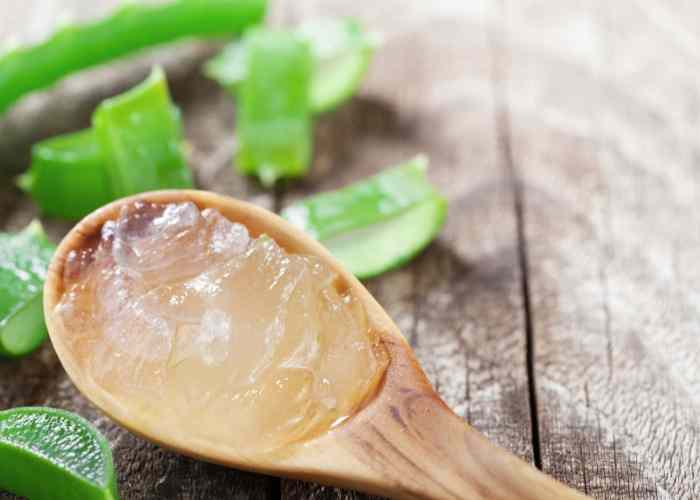 Frozen Aloe Vera Cubes for Sunburn Everything Pretty