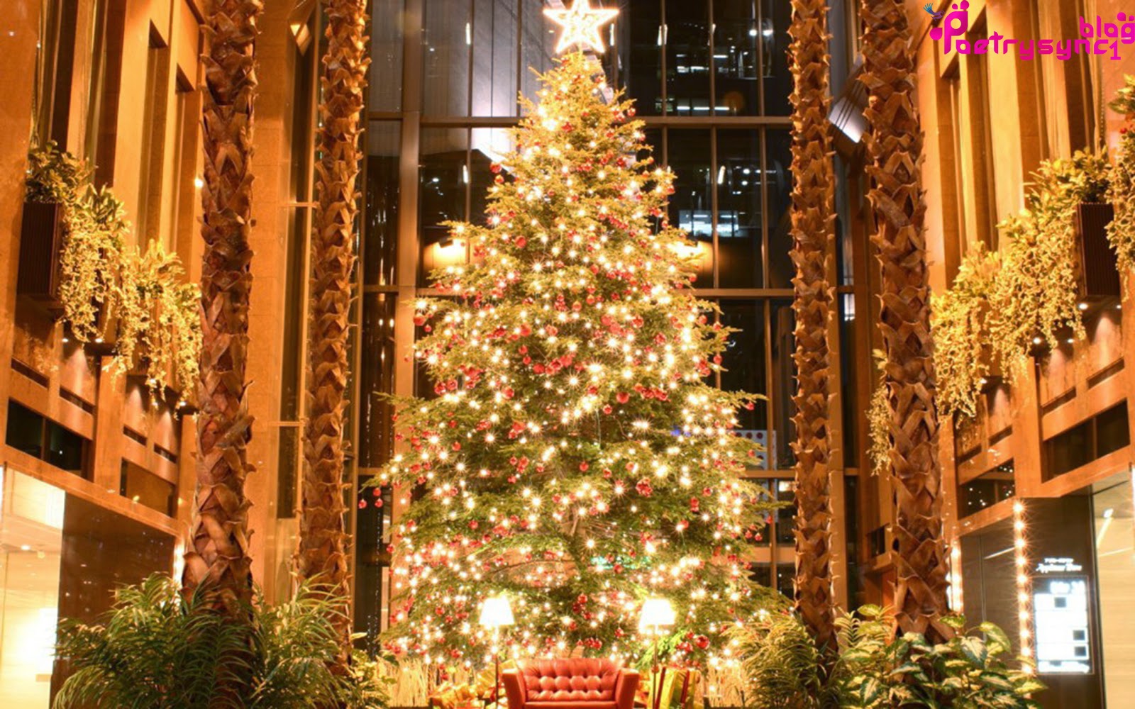 Merry Christmas Wallpapers, Balls, Trees And Flowers Pictures WIth Best Top 25 Christmas Quotes
