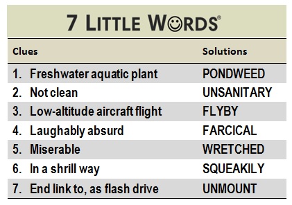AMBASSADOR S OFFICE 7 LITTLE WORDS visual data 6