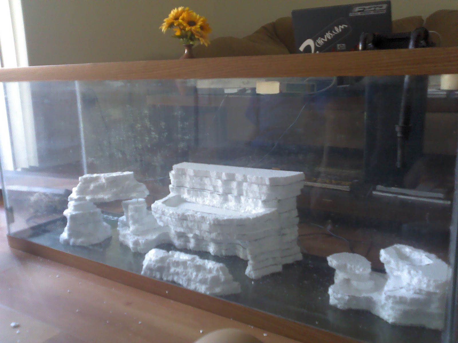Jose's DIY Ideas : Styrofoam-cement aquarium background