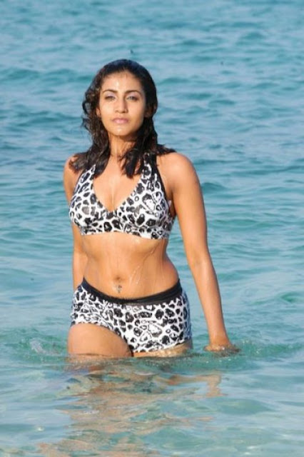 Telugu Actress Kausha Hot Bikini Photos Navel Queens