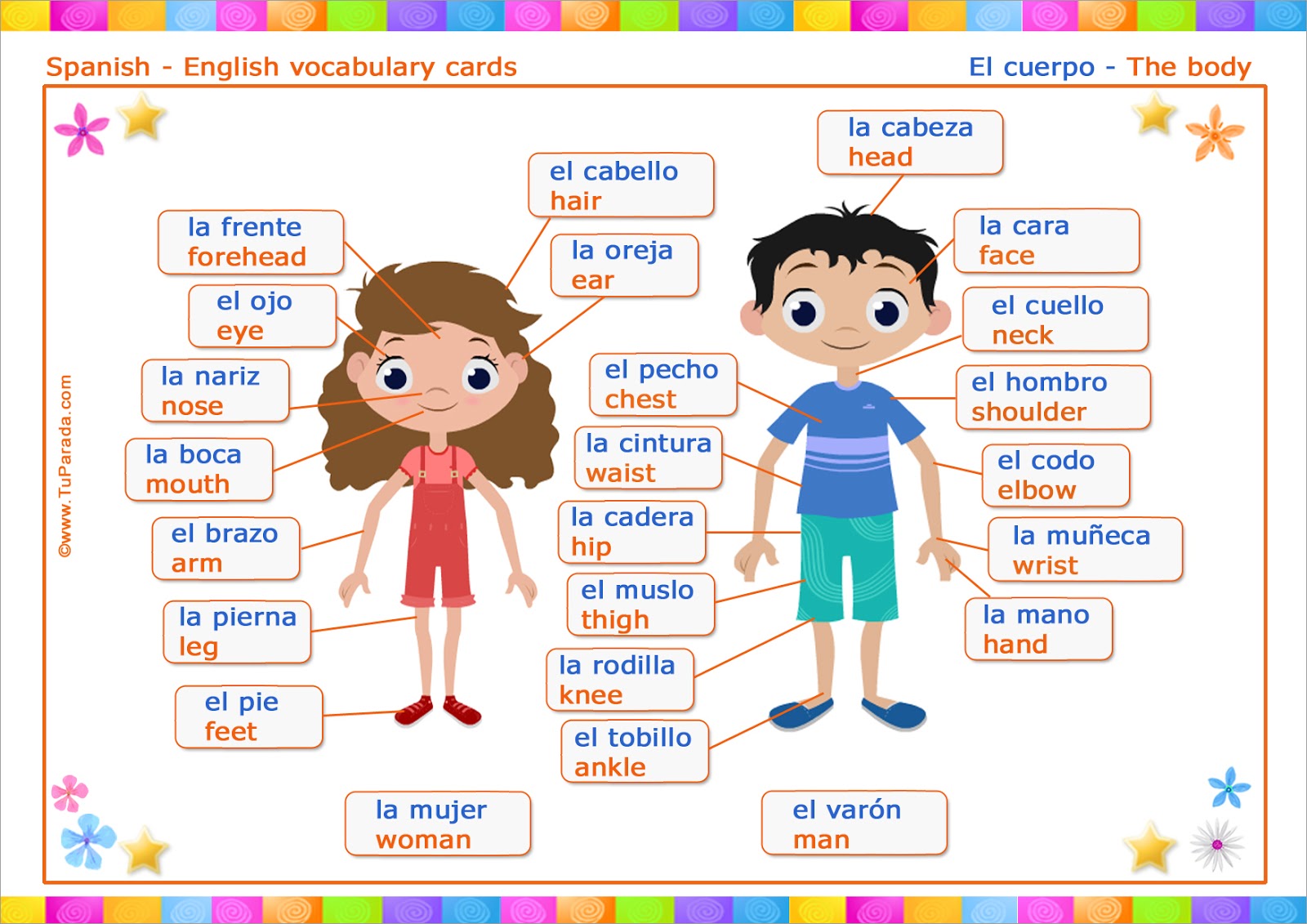 30246-2-vocabulario-espanol-ingles-el-cuerpo-the-body.jpg