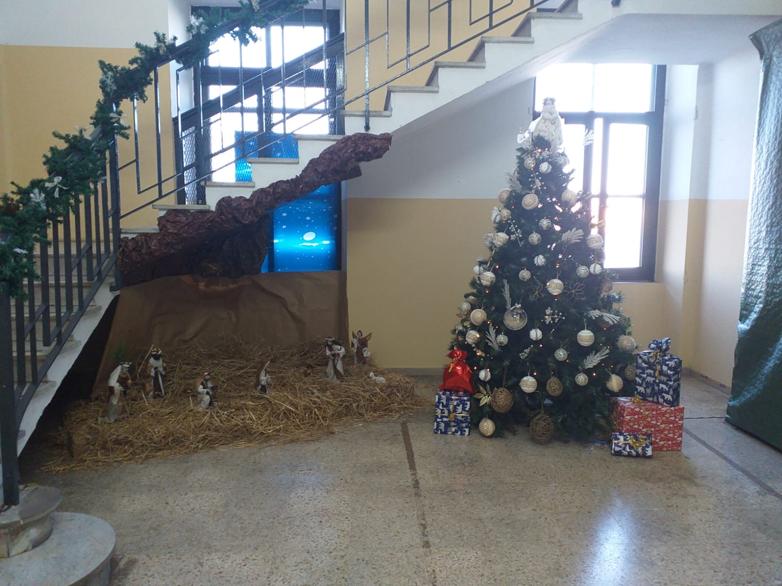 Notizie In Liberta Novembre 2019